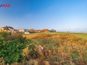 Prodej pozemku pro bydlení, Březová-Oleško - Březová, Hlavní, 4997 m2