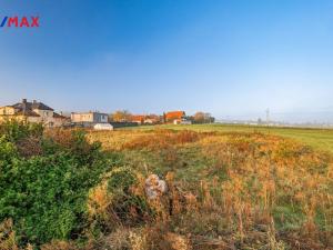 Prodej pozemku pro bydlení, Březová-Oleško - Březová, Hlavní, 4997 m2