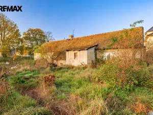 Prodej pozemku pro bydlení, Březová-Oleško - Březová, Hlavní, 4997 m2