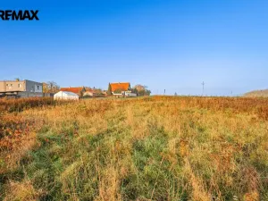 Prodej pozemku pro bydlení, Březová-Oleško - Březová, Hlavní, 4997 m2