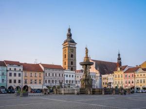 Prodej bytu 1+kk, České Budějovice, Na Zlaté stoce, 37 m2