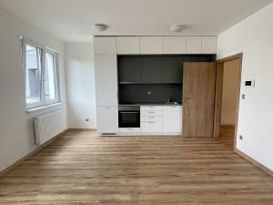 Pronájem bytu 1+kk, Karlovy Vary - Drahovice, Mattoniho nábřeží, 31 m2