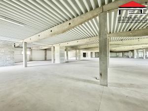 Pronájem obchodního prostoru, Brno - Brněnské Ivanovice, Kaštanová, 250 m2