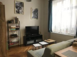 Pronájem bytu 1+kk, České Budějovice - České Budějovice 7, Heydukova, 35 m2