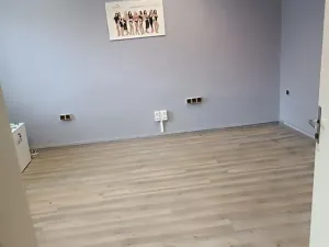 Pronájem obchodního prostoru, Třebíč, Polanka, 768 m2