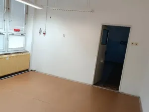 Pronájem obchodního prostoru, Třebíč, Polanka, 768 m2