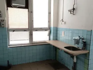 Pronájem obchodního prostoru, Třebíč, Polanka, 768 m2