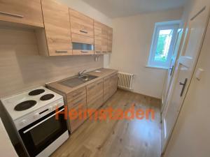 Pronájem bytu 1+kk, Karviná - Nové Město, nám. Budovatelů, 24 m2