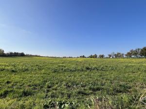 Prodej rodinného domu, Český Brod, Jiřího Wolkera, 740 m2