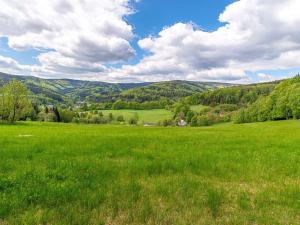 Prodej chalupy, Lipová-lázně - Horní Lipová, Horní Lipová, 420 m2