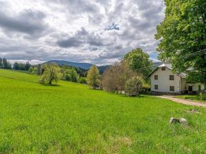 Prodej chalupy, Lipová-lázně - Horní Lipová, Horní Lipová, 420 m2