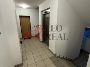 Prodej bytu 2+1, Brno - Líšeň, Molákova, 53 m2