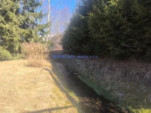 Prodej chalupy, Sedloňov, 116 m2