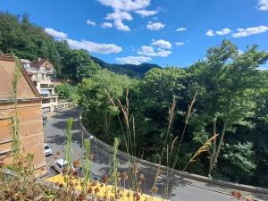 Prodej bytu 3+kk, Karlovy Vary, Pražská silnice, 95 m2