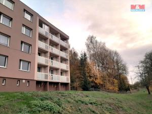 Prodej bytu 1+kk, Moravský Beroun, Partyzánská, 21 m2