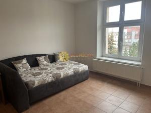 Pronájem bytu 1+kk, Hradec Králové, Škroupova, 39 m2