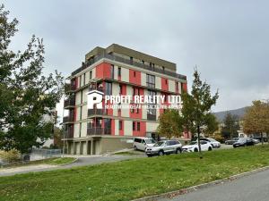 Pronájem bytu 1+kk, Beroun, K Dubu, 61 m2