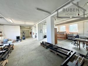 Pronájem výrobních prostor, Planá, Zámecká, 360 m2