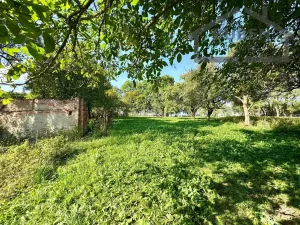 Prodej rodinného domu, Chodský Újezd, 3673 m2