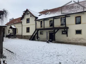 Prodej vícegeneračního domu, Bor - Kosov, 7880 m2