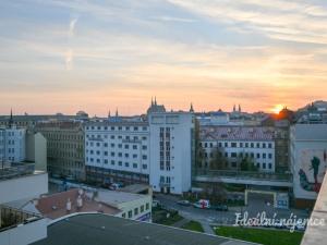 Pronájem bytu 1+kk, Brno, Bratislavská, 33 m2