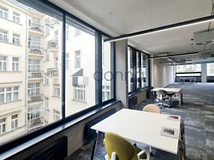 Pronájem kanceláře, Praha - Nové Město, Václavské náměstí, 652 m2