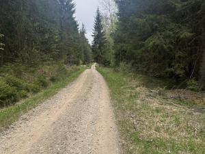 Prodej lesa, Vimperk - Skláře, 29000 m2