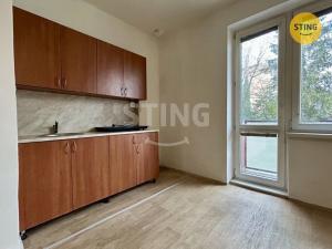 Pronájem bytu 1+kk, Karviná - Hranice, 25 m2