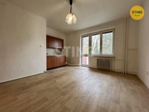 Pronájem bytu 1+kk, Karviná - Hranice, 25 m2