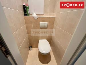 Pronájem bytu 2+kk, Zlín, Santražiny, 61 m2