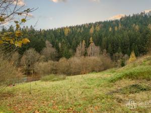 Prodej rodinného domu, Kraslice, Havlíčkova, 500 m2