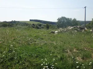 Dražba pozemku pro bydlení, Kaňovice, 9209 m2