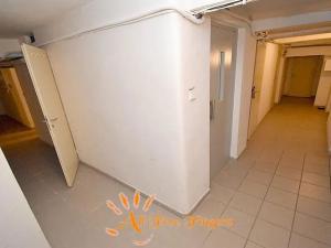 Prodej bytu 1+kk, Praha - Vinohrady, Hradecká, 45 m2