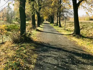 Prodej pozemku pro bydlení, Mimoň, Vranovská, 1409 m2