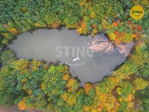 Prodej rybníku, Dolní Roveň - Litětiny, 42553 m2