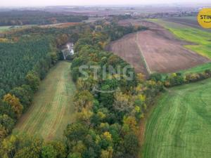 Prodej rybníku, Dolní Roveň - Litětiny, 42553 m2