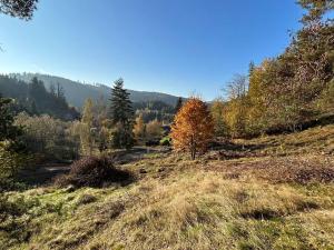 Prodej pozemku pro bydlení, Smolné Pece, 1373 m2