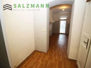 Pronájem obchodního prostoru, Plzeň, Wenzigova, 27 m2