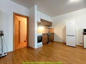 Pronájem bytu 1+kk, Praha - Vysočany, 56 m2