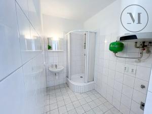 Pronájem bytu 1+1, České Budějovice, J. Plachty, 46 m2