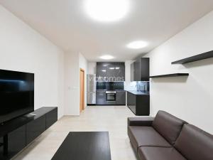 Pronájem bytu 1+kk, Praha - Bubeneč, Mlýnská, 47 m2