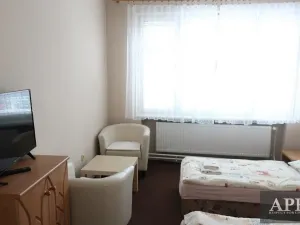 Pronájem bytu 1+kk, Uherský Brod, Mariánské nám., 20 m2