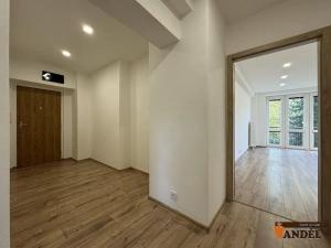 Prodej bytu 2+1, Karviná, Fibichova, 52 m2