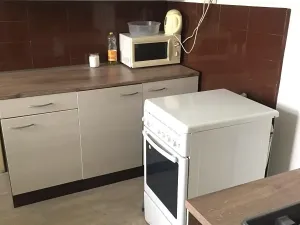 Pronájem apartmánu, Plzeň, Klostermannova, 70 m2