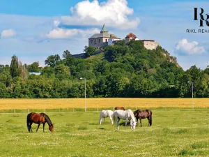 Prodej pozemku pro bydlení, Ráby, 998 m2