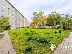 Prodej bytu 1+kk, Olomouc, Jeremenkova, 22 m2