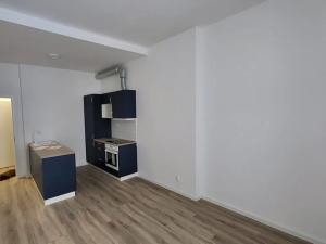 Pronájem bytu 1+kk, Brno, Antonínská, 31 m2