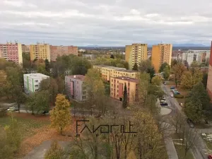 Prodej bytu 2+1, Ostrava, Josefa Kotase, 52 m2