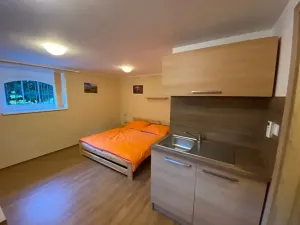 Pronájem bytu 1+kk, Liberec, Lázeňská, 33 m2