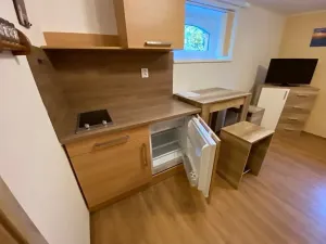 Pronájem bytu 1+kk, Liberec, Lázeňská, 33 m2